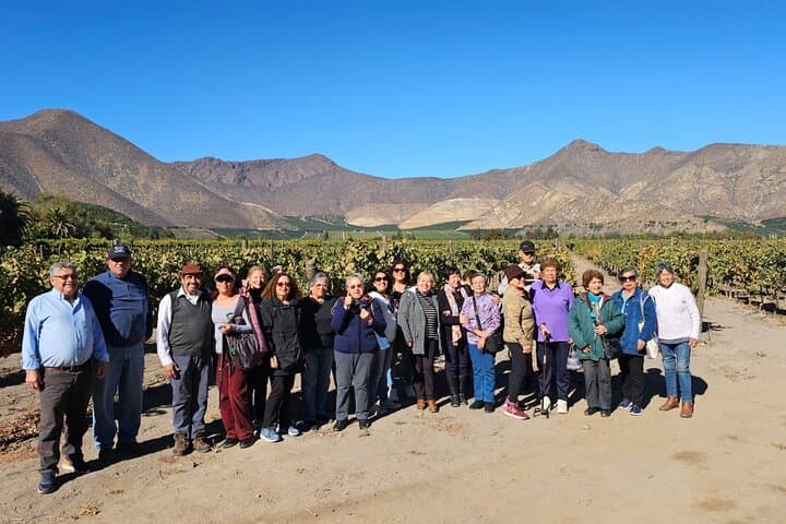 Inca Lagoon & Sanchez de Loria Vineyard: A Day in the Chilean Andes with Wine Tasting photo 5