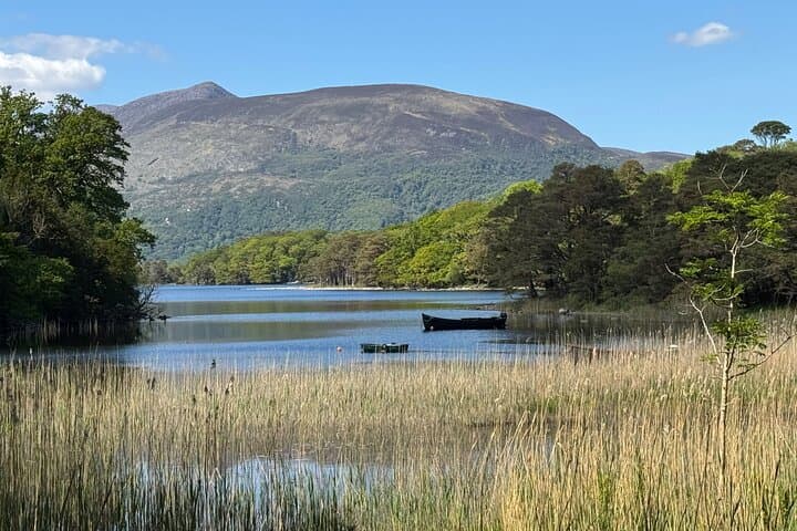 Exploring Killarney and Kerry: A Private Scenic Tour from Cork photo 2