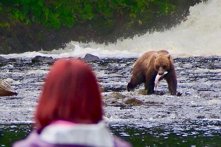 Waterfall Creek Bear Viewing: Private Floatplane Tours from Juneau photo 5