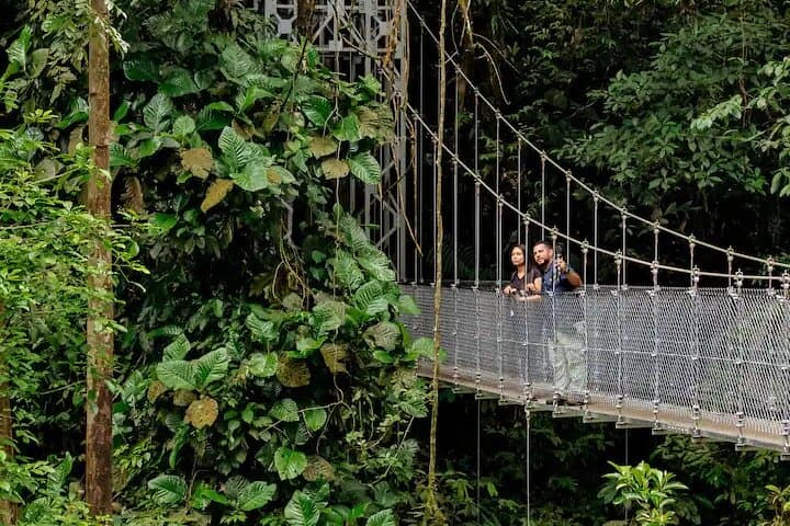 Early Morning Hanging Bridges Wildlife Tour in La Fortuna photo 1