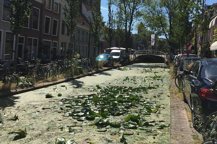Historic Delft Walking Tour: Prinsenhof, Canals & Delftware in 3 Hours