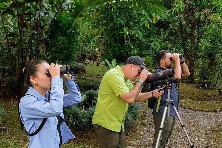 Arenal Bird Watching Tour: Spot Toucans, Hummingbirds & Trogons on a Guided Reserve Walk photo 5