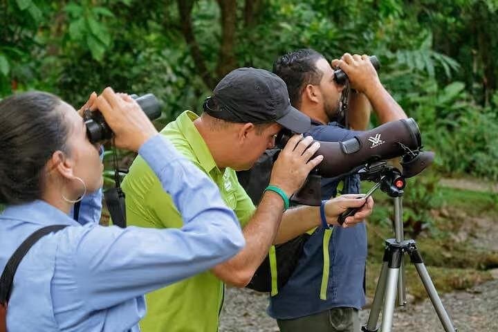 Arenal Bird Watching Tour: Spot Toucans, Hummingbirds & Trogons on a Guided Reserve Walk
