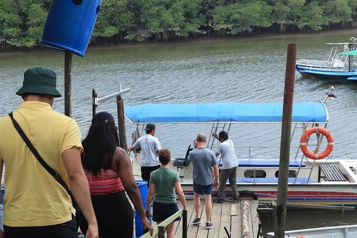 Sungai Lebam Mangrove Cruise: Desaru Coast Day Trip for Wildlife & Fruit Tasting photo 4