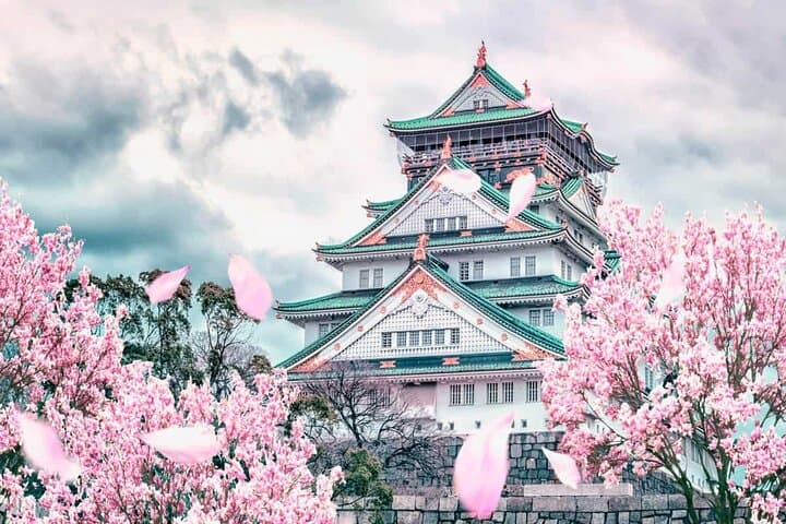Osaka and Nara Day Tour — Private Transport, Deer Park & Osaka Castle Day Trip