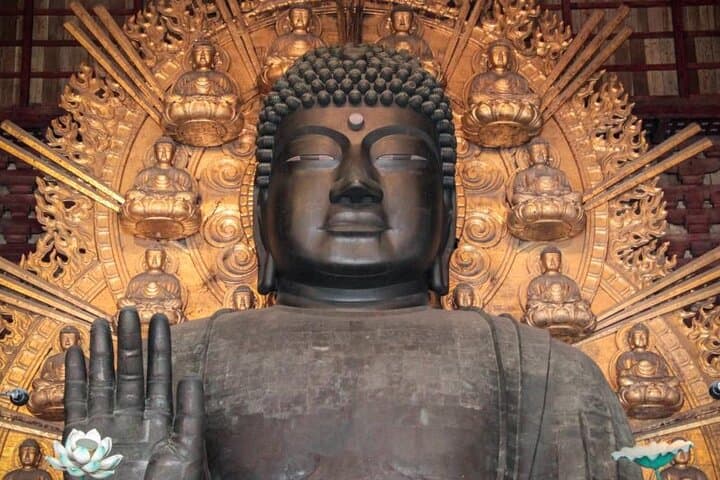 Osaka and Nara Day Tour — Private Transport, Deer Park & Osaka Castle Day Trip photo 2