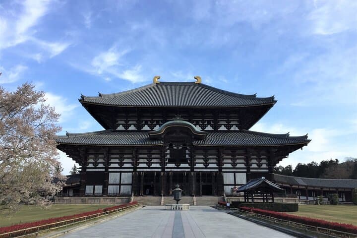 Osaka and Nara Day Tour — Private Transport, Deer Park & Osaka Castle Day Trip photo 3