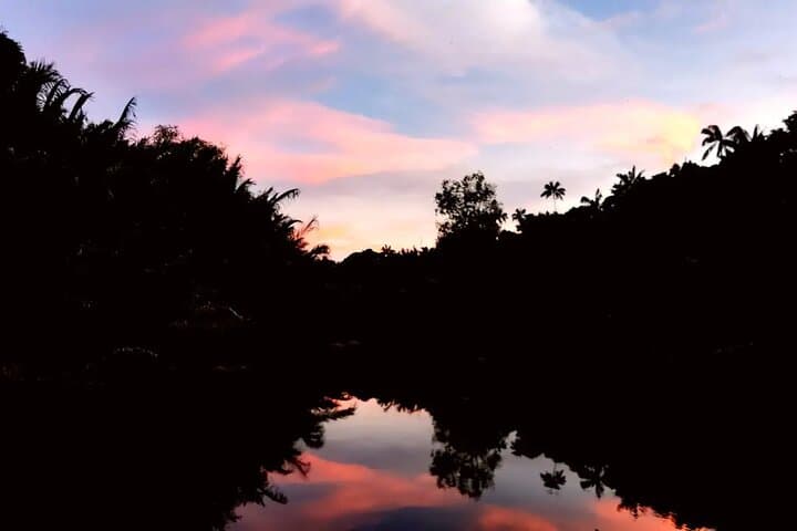 Sungai Lebam Firefly Cruise: Desaru Afterdark Mangrove Experience