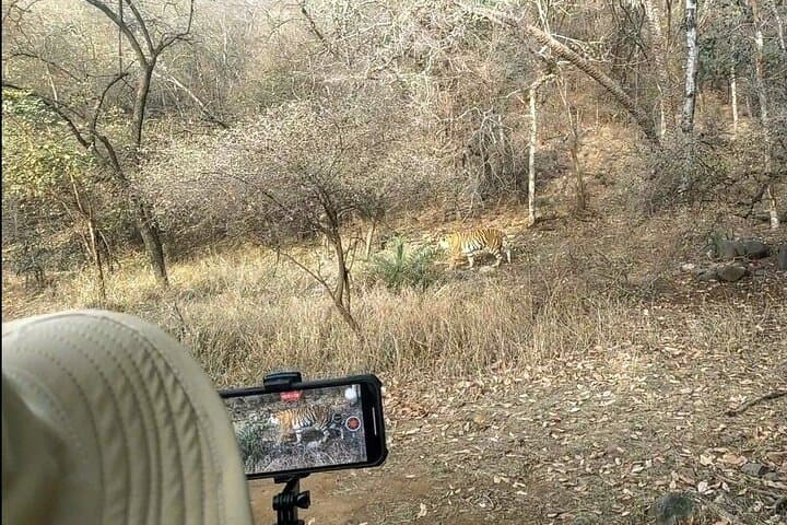 Ranthambore Tiger Safari: Shared Canter & Gypsy Wildlife Experience photo 2