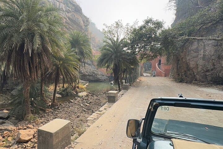 Ranthambore Tiger Safari: Shared Canter & Gypsy Wildlife Experience photo 4