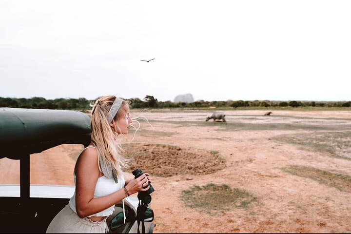Yala Safari from Hambantota Port — Half-Day Leopard & Elephant Jeep Experience photo 5