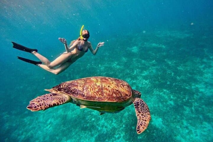 Private Gili Meno Snorkel: 4 Top Spots with GoPro photo 2