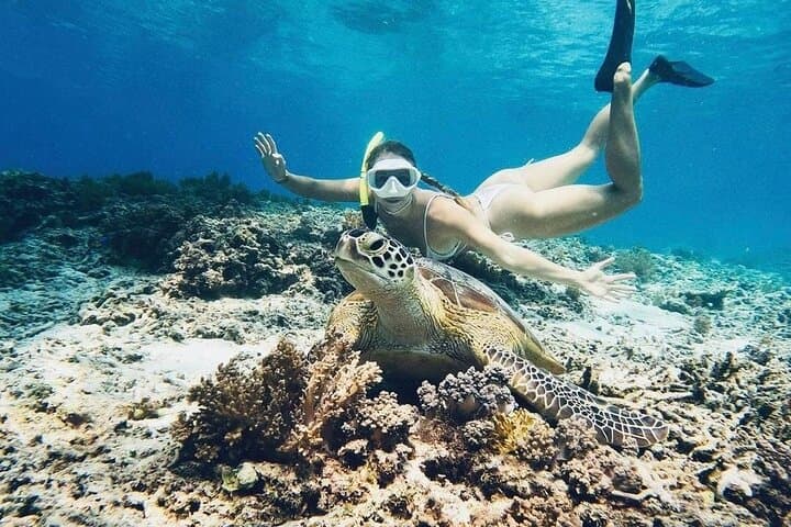 Private Gili Meno Snorkel: 4 Top Spots with GoPro