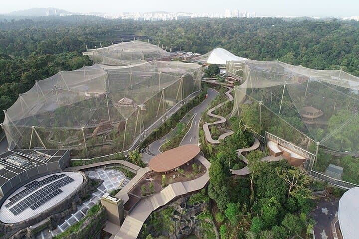 Mandai Bird Park Singapore: Bird Paradise Admission & Visitor Guide photo 3