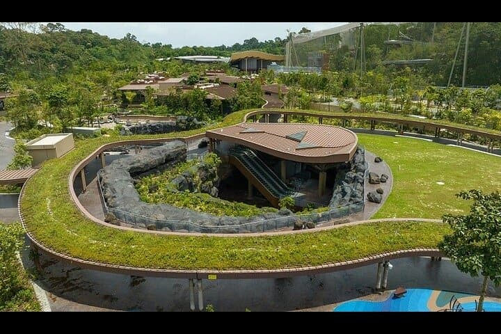 Mandai Bird Park Singapore: Bird Paradise Admission & Visitor Guide photo 5