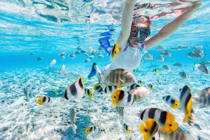 Private Gili Meno Snorkel: 4 Top Spots with GoPro photo 5