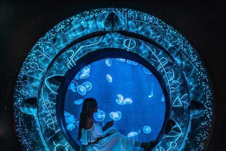 Inside Lost World Aquarium at Atlantis The Palm — Dubai's Immersive Marine Exploration photo 3