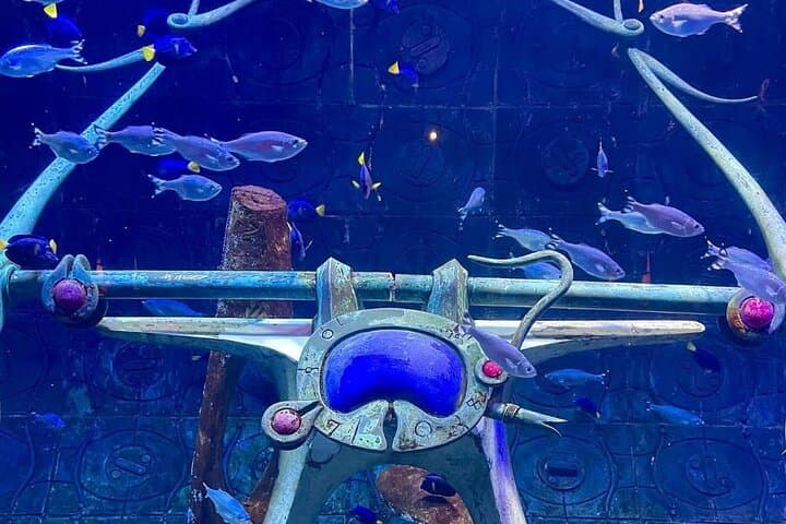 Inside Lost World Aquarium at Atlantis The Palm — Dubai's Immersive Marine Exploration photo 5