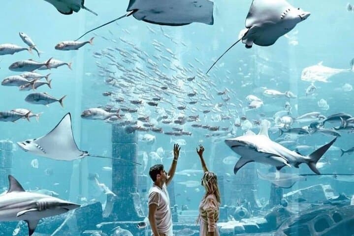 Inside Lost World Aquarium at Atlantis The Palm — Dubai's Immersive Marine Exploration photo 2