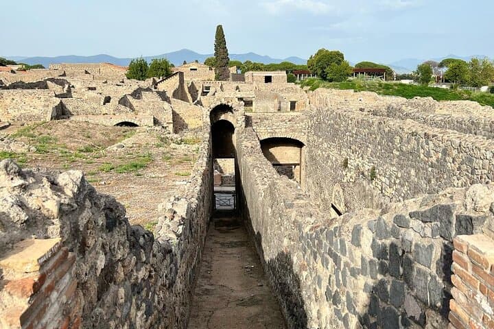 Pompeii Excavations Day Trip from Naples: Guided Walk Through the Ancient City photo 3