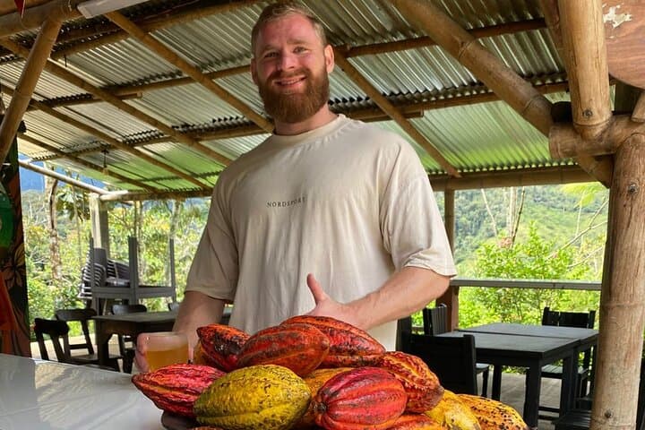 Medellín Chocolate Immersion: Cocoa Farm Day Trip & River Exfoliation