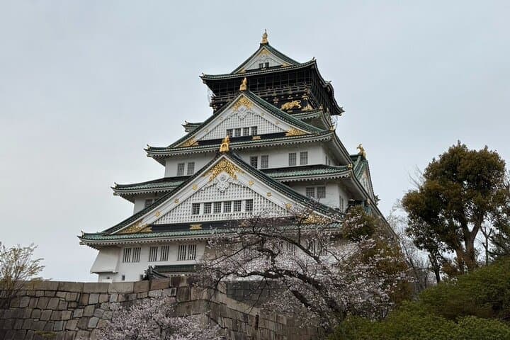 Osaka City Walking Tour: Castle, Dotonbori & Local Streets