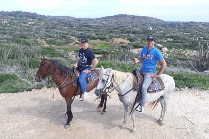 Gallop Aruba’s Rugged North Coast: 2.5‑Hour Advanced Horseback Adventure photo 3