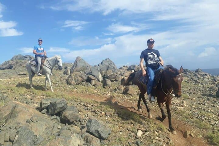 Gallop Aruba’s Rugged North Coast: 2.5‑Hour Advanced Horseback Adventure photo 6