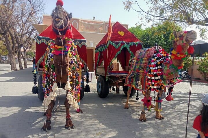 5-Day Golden Triangle Private Tour: Delhi, Agra, Jaipur, Pushkar & Udaipur by Car photo 1
