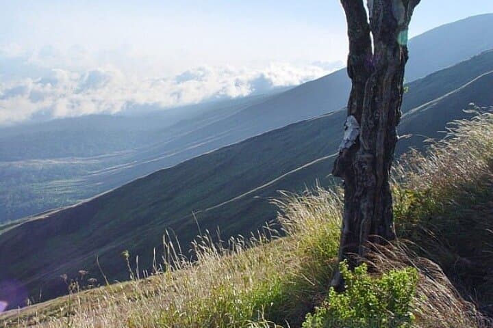 Mount Cameroon Trekking Adventure: 10-Day Summit & Highlands Circuit photo 4