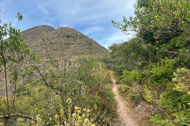 Full-Day Teotitlán del Valle Private Tour: Hike, Weaving & Mezcal from Oaxaca photo 3