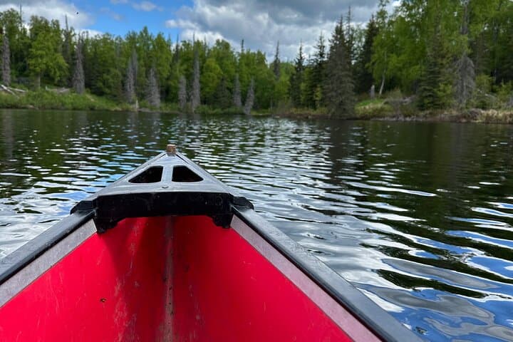 Self-Guided Alaskan Canoe Adventure on Nancy Lake: Paddle, Portage, and Wildlife photo 5