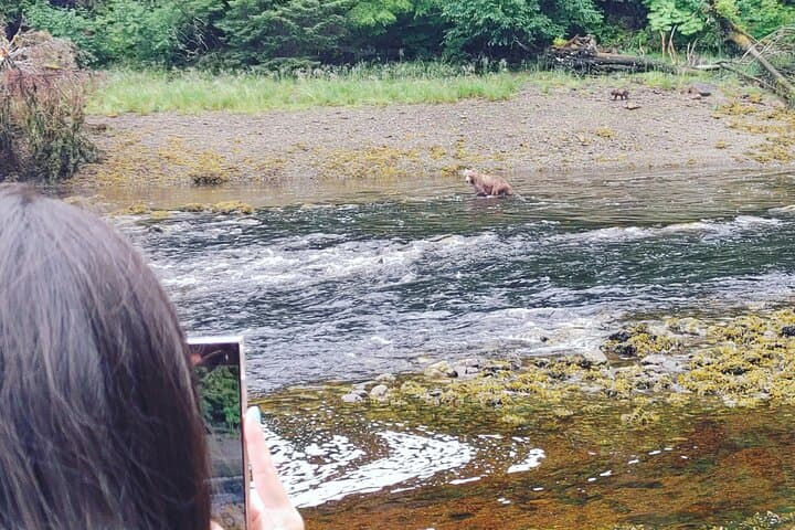 Exclusive Alaska Bear Viewing: Private Floatplane Trip to Remote Brown Bears photo 3