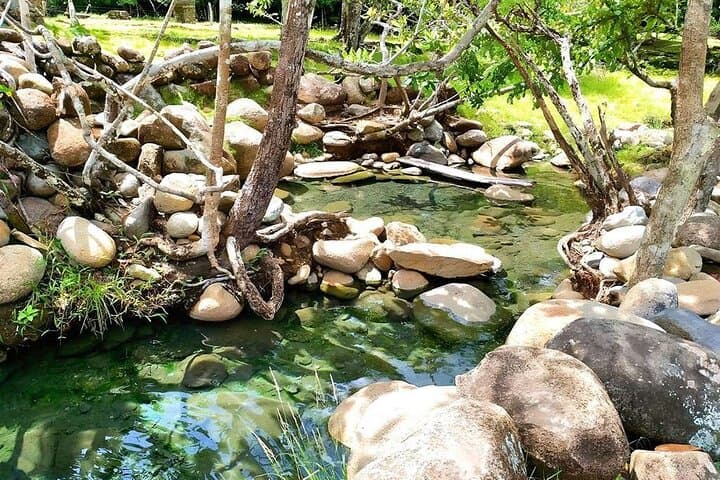 Boquete Hot Springs & Waterfalls Day Tour — Caldera Thermal Pools photo 4
