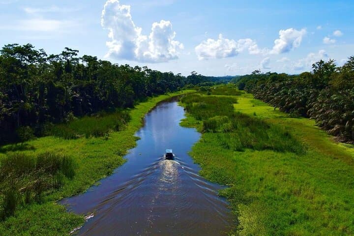 Puerto Limón & Tortuguero Canal Eco Cruise: City Sights, Wildlife & Playa Bonita Shore Excursion