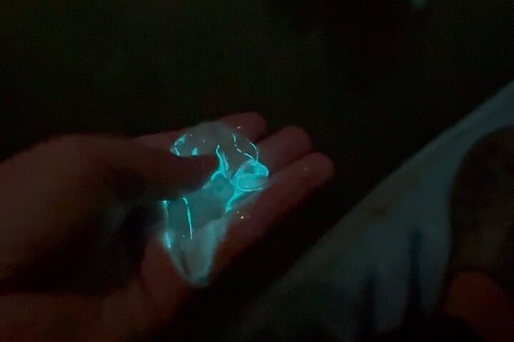 Titusville Bioluminescence Rafting — Merritt Island Wildlife Refuge Night Tour photo 4