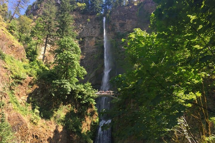 Private Multnomah Falls & Mt. Hood Tour — Columbia River Gorge Waterfalls Loop