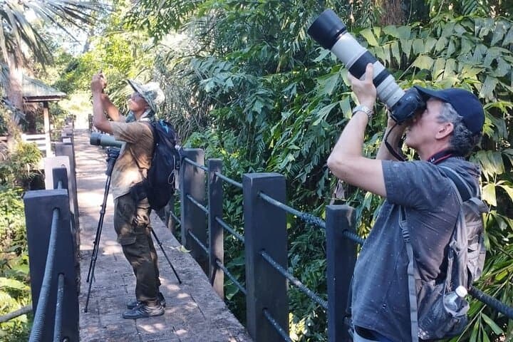 Sedim Rainforest Canopy Walk: 925m Treetop Trail Near Penang photo 3