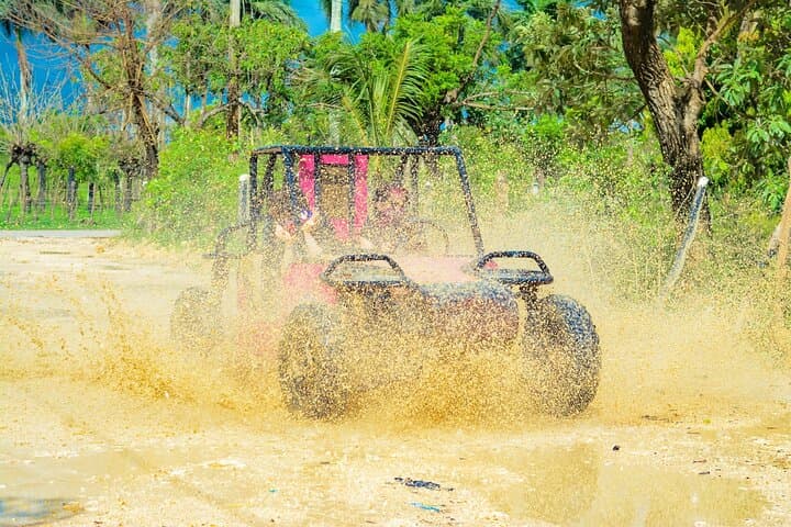 Ultimate Adventure: Horseback, Buggy & Beach Tour in Punta Cana photo 5
