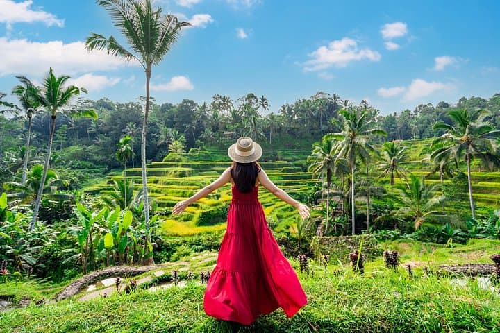 Ubud Full-Day Tour: Swing, Tegalalang Rice Terraces, Monkey Forest & Tegenungan Waterfall photo 2