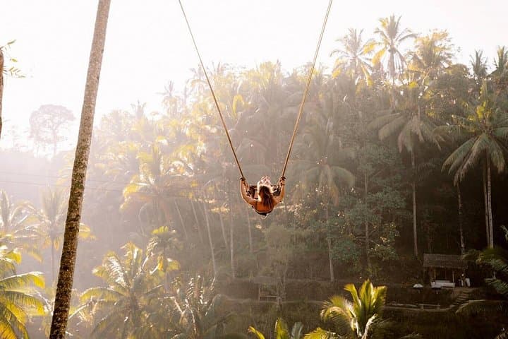 Ubud Full-Day Tour: Swing, Tegalalang Rice Terraces, Monkey Forest & Tegenungan Waterfall photo 4
