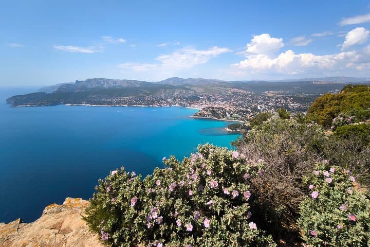Cassis & Calanques Day Trip from Aix-en-Provence: Boat Tour, Cap Canaille & Winery Visit photo 2