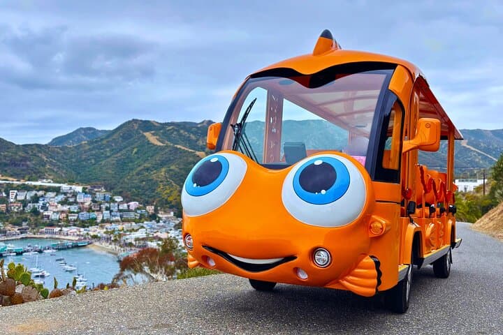 Gary the Garibaldi Avalon Private City Tour: Electric Golf Cart Sightseeing