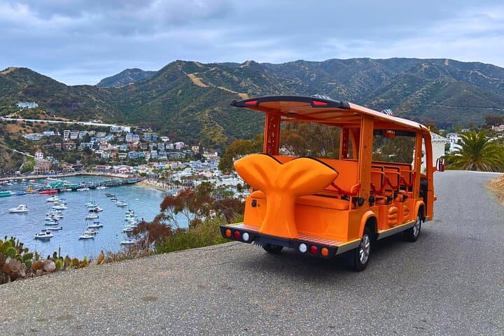 Gary the Garibaldi Avalon Private City Tour: Electric Golf Cart Sightseeing photo 3
