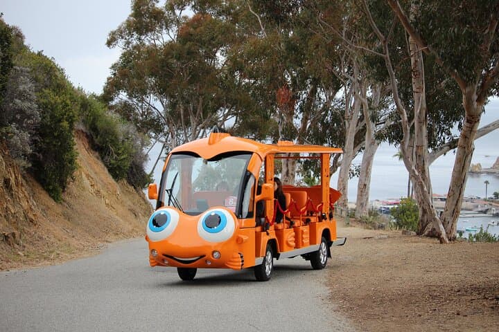 Gary the Garibaldi Avalon Private City Tour: Electric Golf Cart Sightseeing photo 4