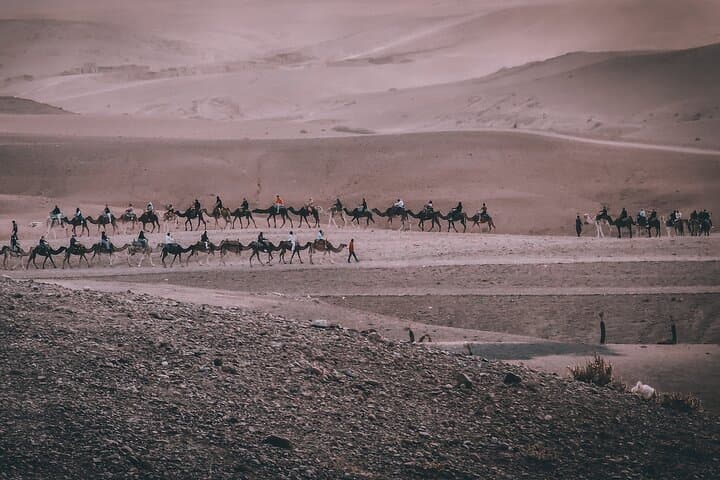 Agafay Desert Quad Ride, Camel Trek & Pool Lunch Near Marrakech photo 6