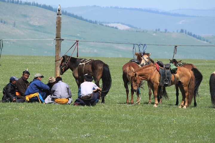 9-Day Hentii Tour: Genghis Khan Birthplace, Gun-Galuut & Remote Monasteries