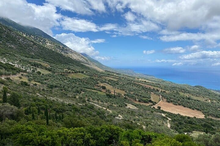 Kefalonia Tastes & Flavors Half-Day Olive Oil, Wine and Honey Tour photo 3