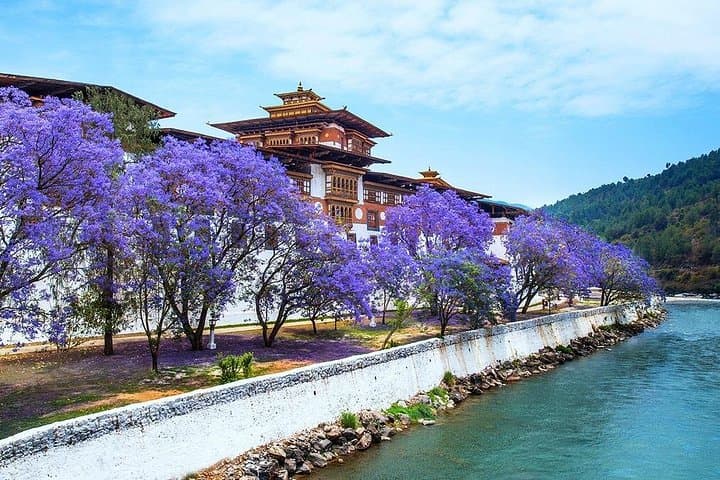 Explore Bhutan: 9-Night Cultural and Nature Tour from Paro to Bumthang photo 1