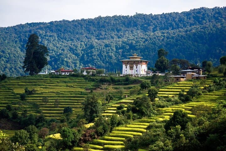 Discover Sri Lanka's UNESCO Heritage Wonders: 13-Night Cultural & Nature Tour photo 2
